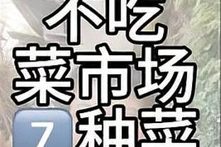 开云app在线登录入口截图4